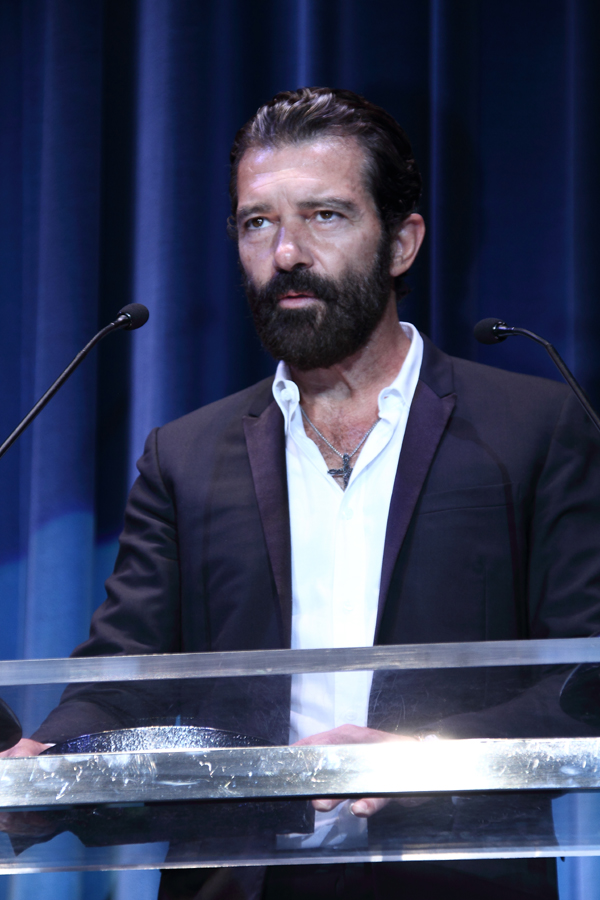 banderas 5 copia