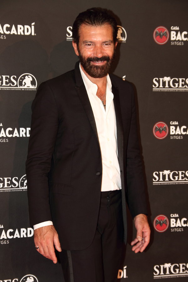 banderas ursu 2 copia