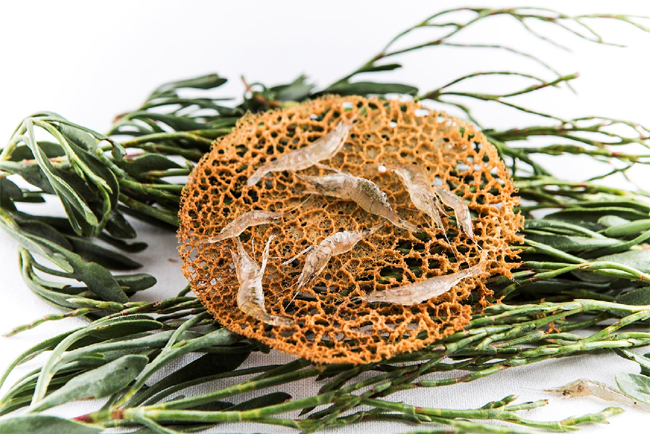 Sin título-6 copia.jpg