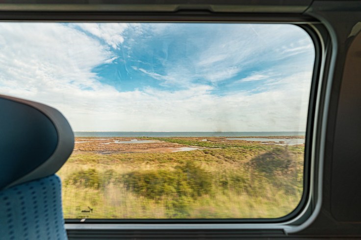 48118960221_2afde0ba1c_c